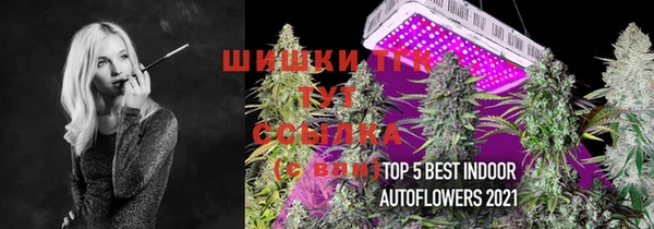 спайс Алексин