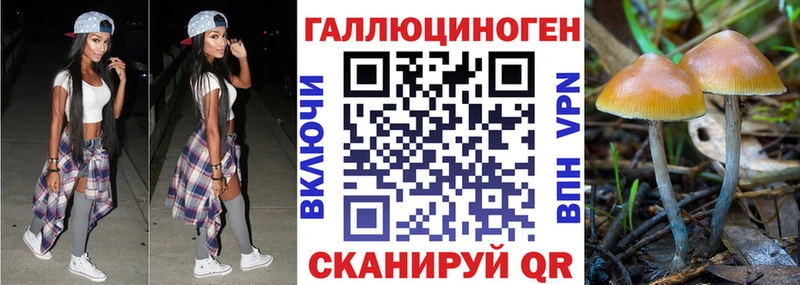 наркотики Далматово Псилоцибиновые грибы мухоморы