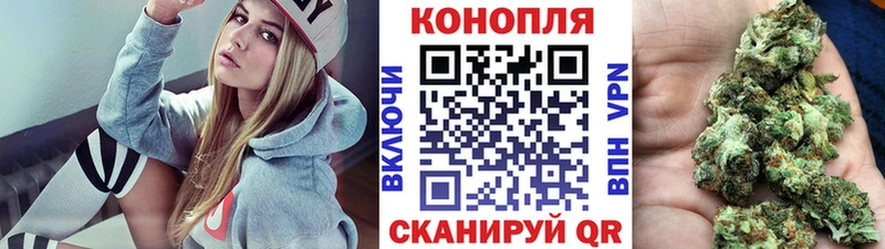 цена   Далматово  Канабис конопля 